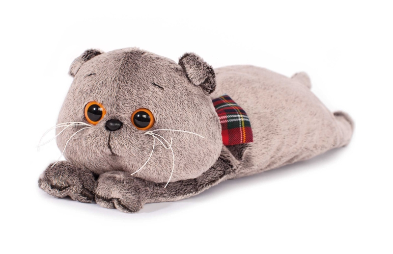 100 % "Басика":  Как определить подделку?